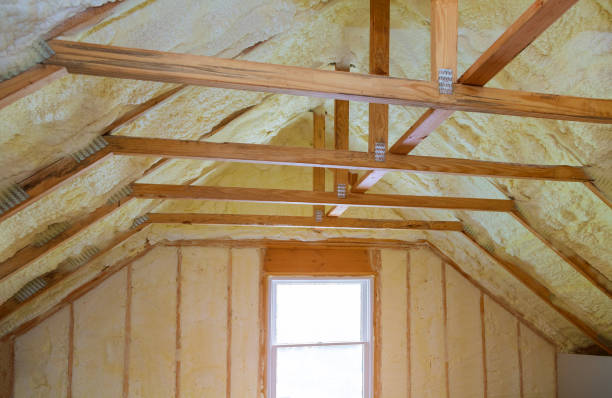 Best Professional Insulation Contractor  in Avon Lake, OH